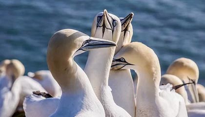 ARC Raiders全蓝图位置指南