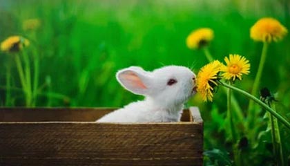 Steam重大更新发布！可以适配游戏反作弊需求